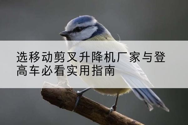 宁洱电动升降机厂家-选移动剪叉升降机厂家与登高车必看实用指南
