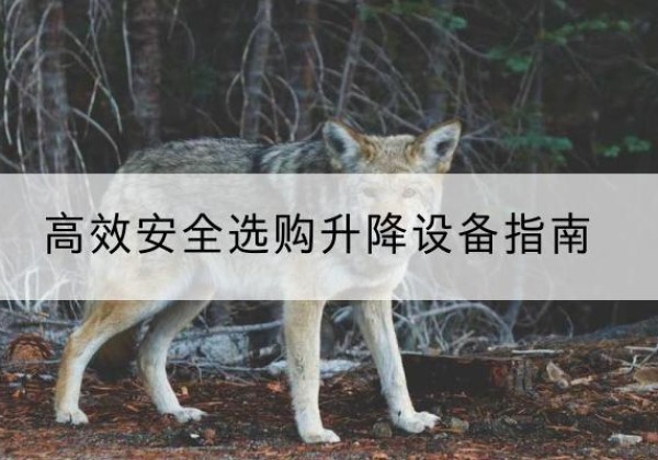 宁洱升降货梯厂家推荐-*安全选购升降设备指南